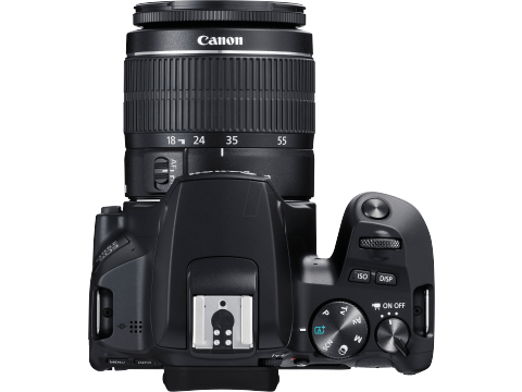 Canon EOS 250D + 18-55mm IS STM.Picture4